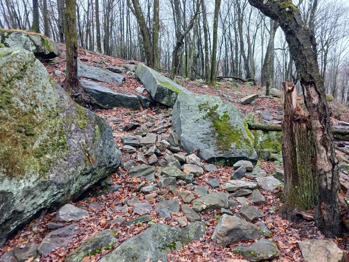 OHV 35 - Rock Run Recreation Area photo 2