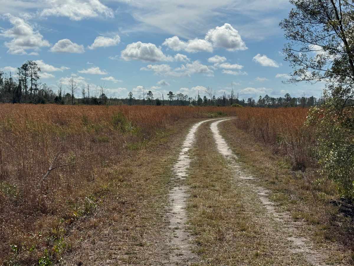 Brown Road photo 6