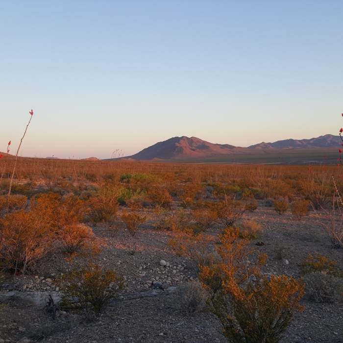 Near CDT: Mexico Border to New Mexico State Highway 81 (NM Sec. 1)