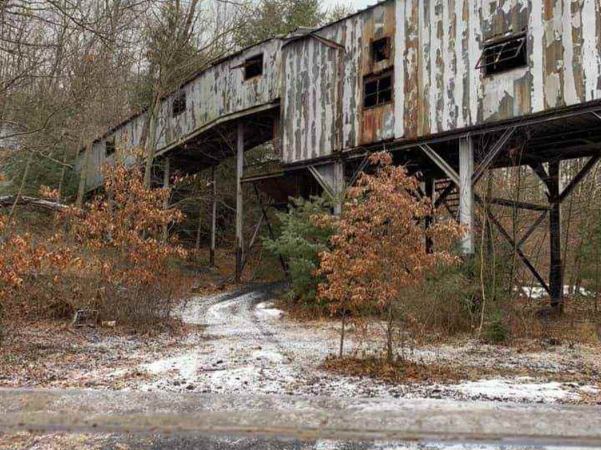 Piney Rail Trail trail photo