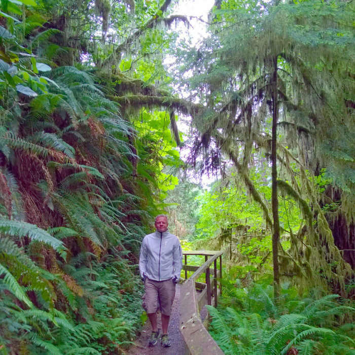 Near Quinault Rain Forest Nature Trail