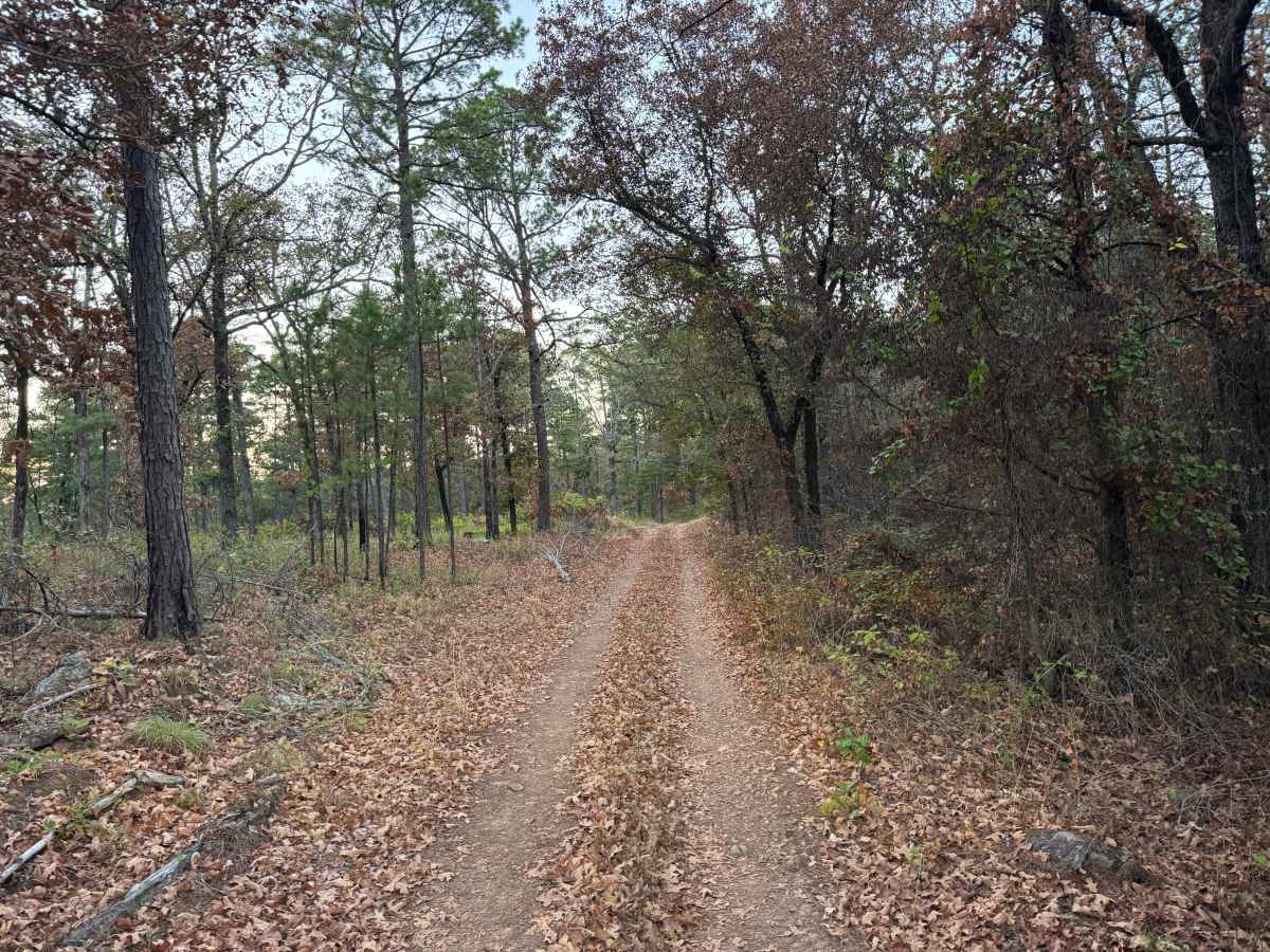 Calico Road photo 2