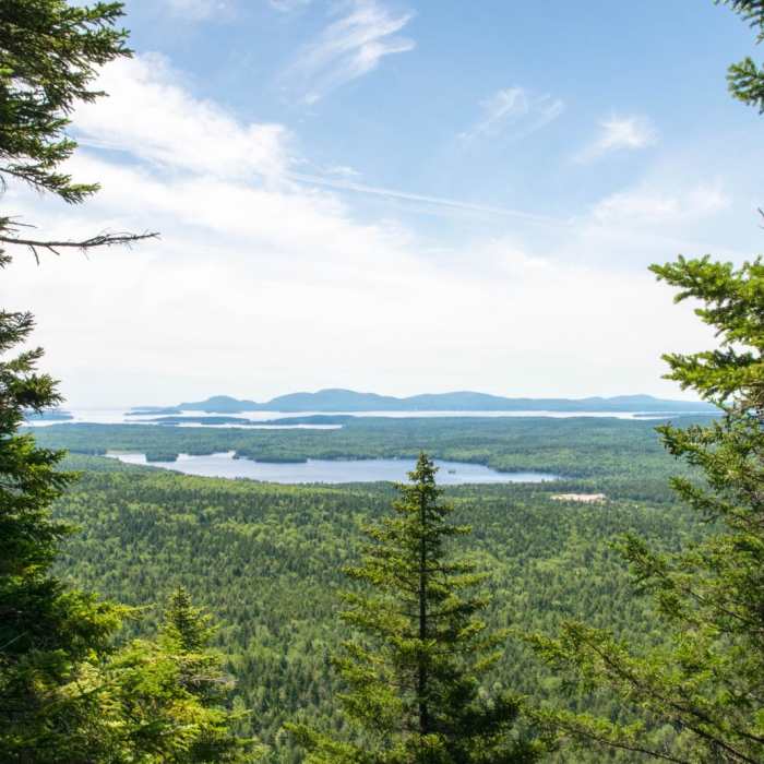 Near Schoodic Beach via Black Mountain Cliffs Trail