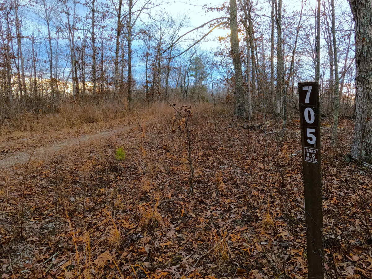Section 8 - FS 705 trail photo