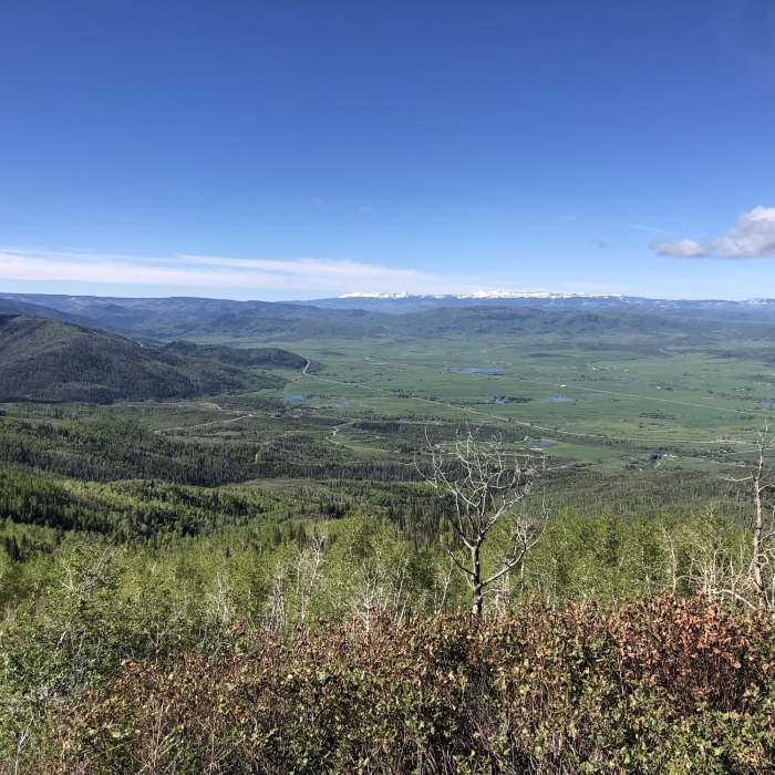 Near Madhouse Trail