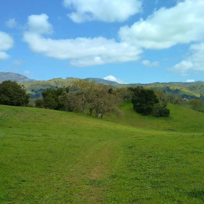 Near Dutch Flat Trail