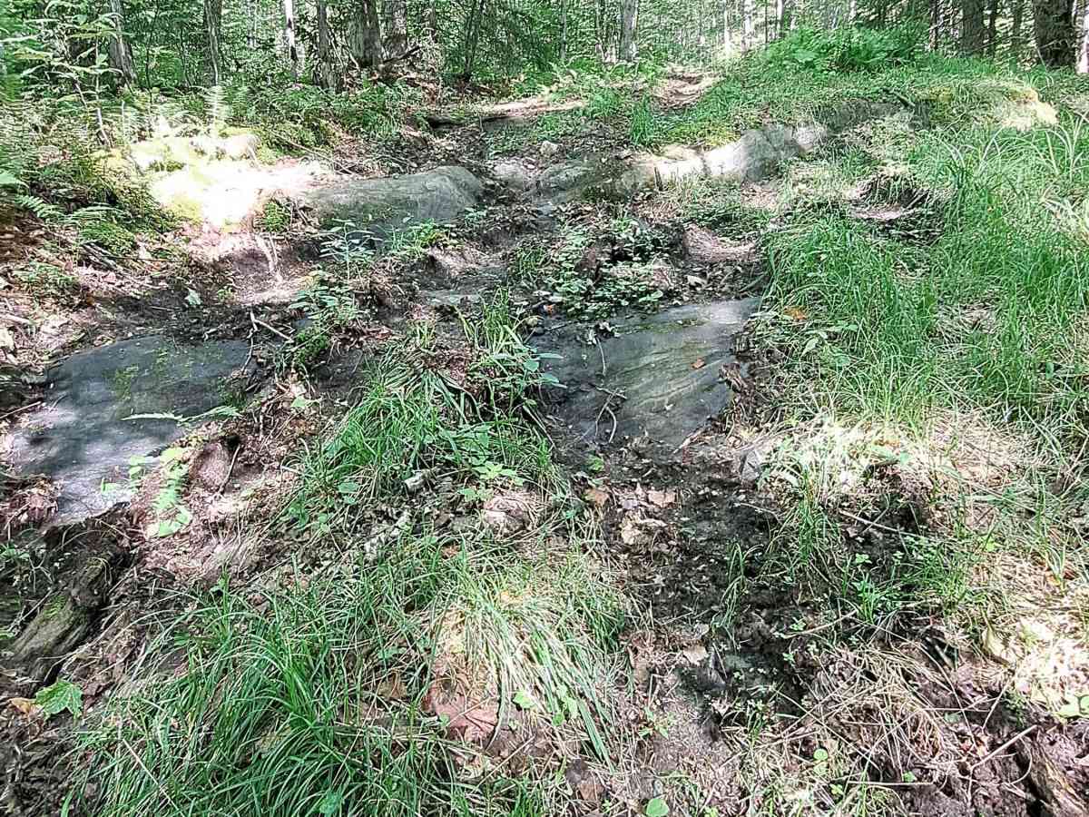 Upper Turnpike Road photo 5