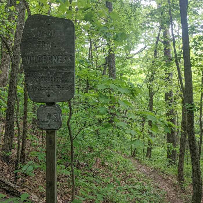 Near Brasstown Bald via Appalachian Trail