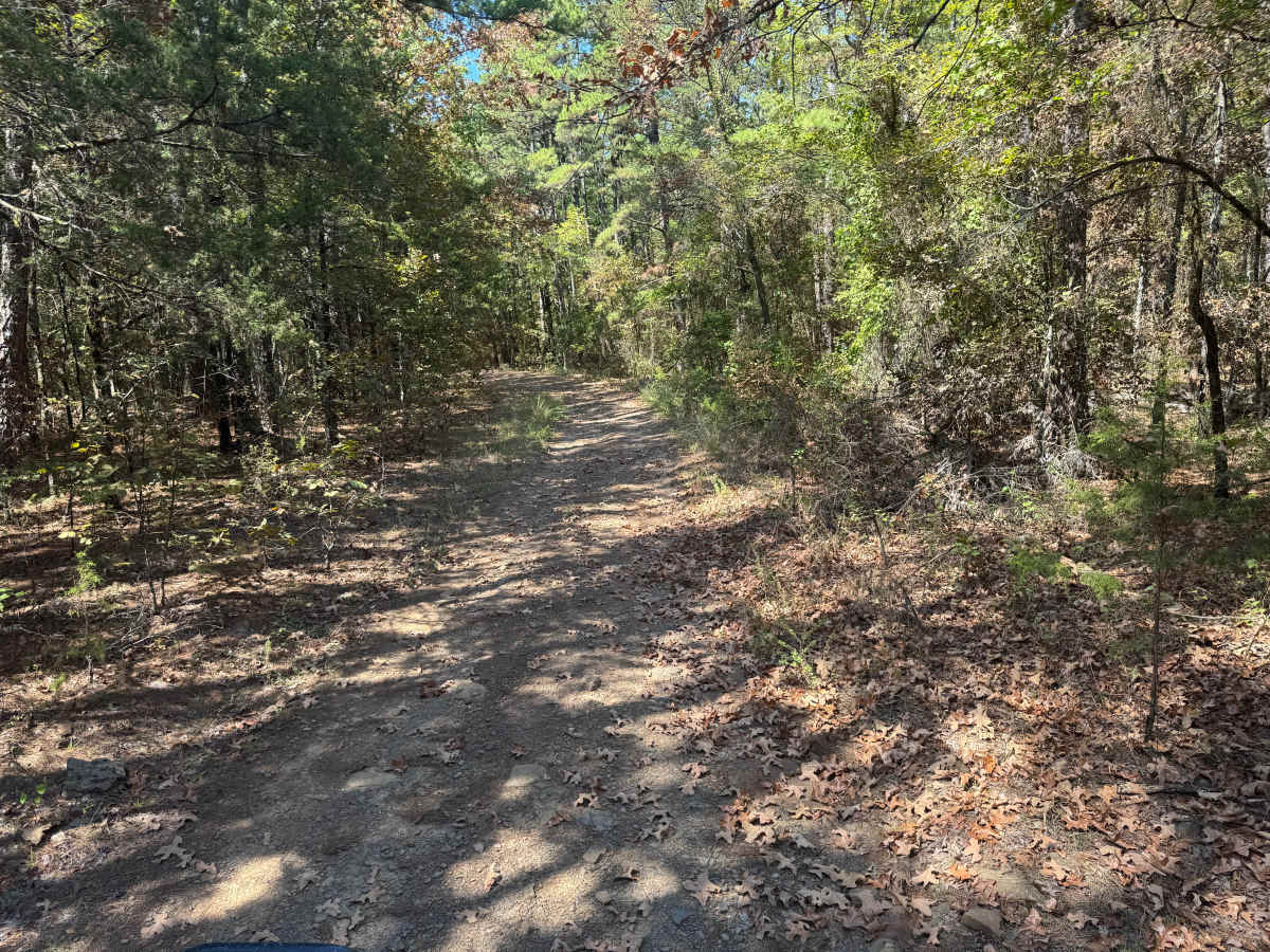 McReynolds Cemetery Road photo 2