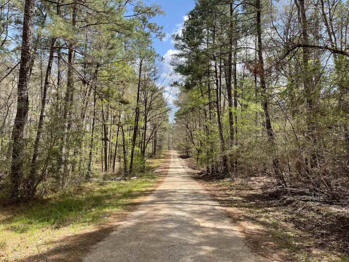 Phelps Road photo 2