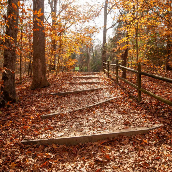 Near Burgess Falls State Park