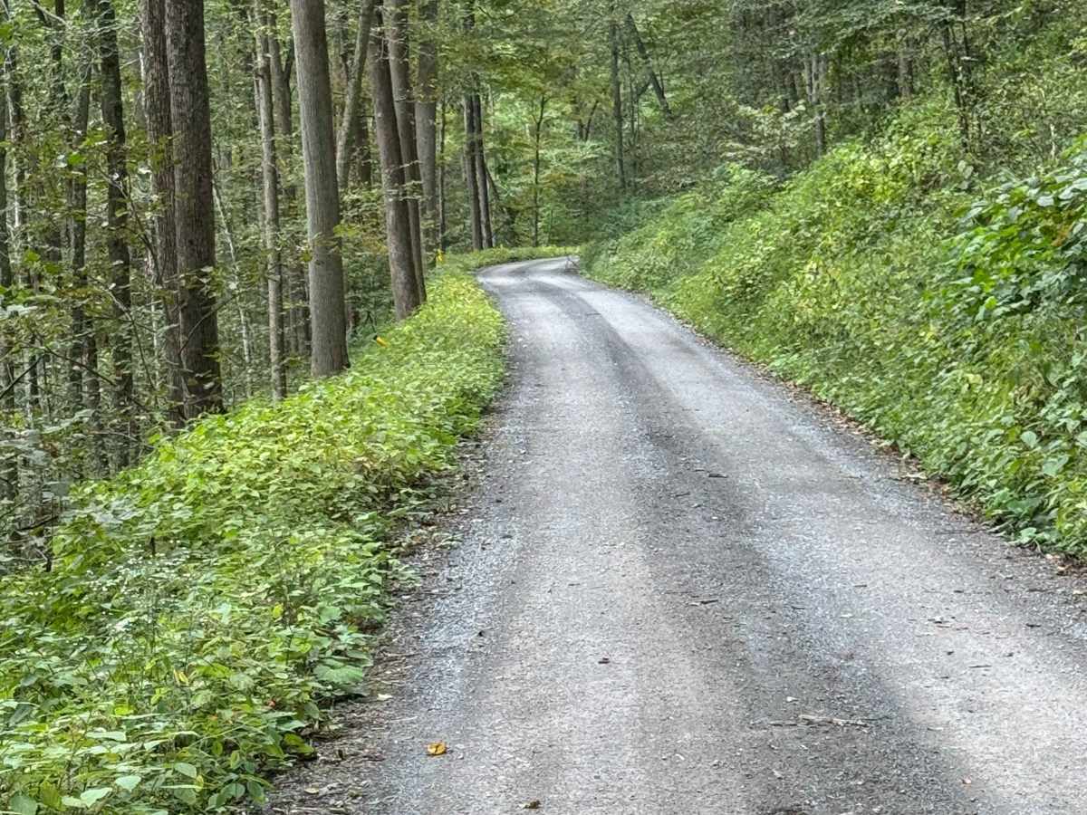 Brown Road photo 3