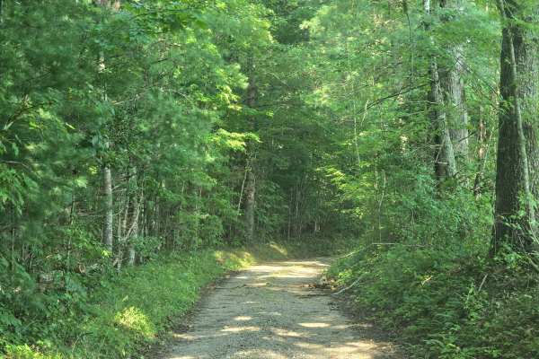 Upper Burke Field Road