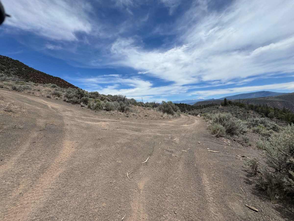 BLM 8466 photo 6