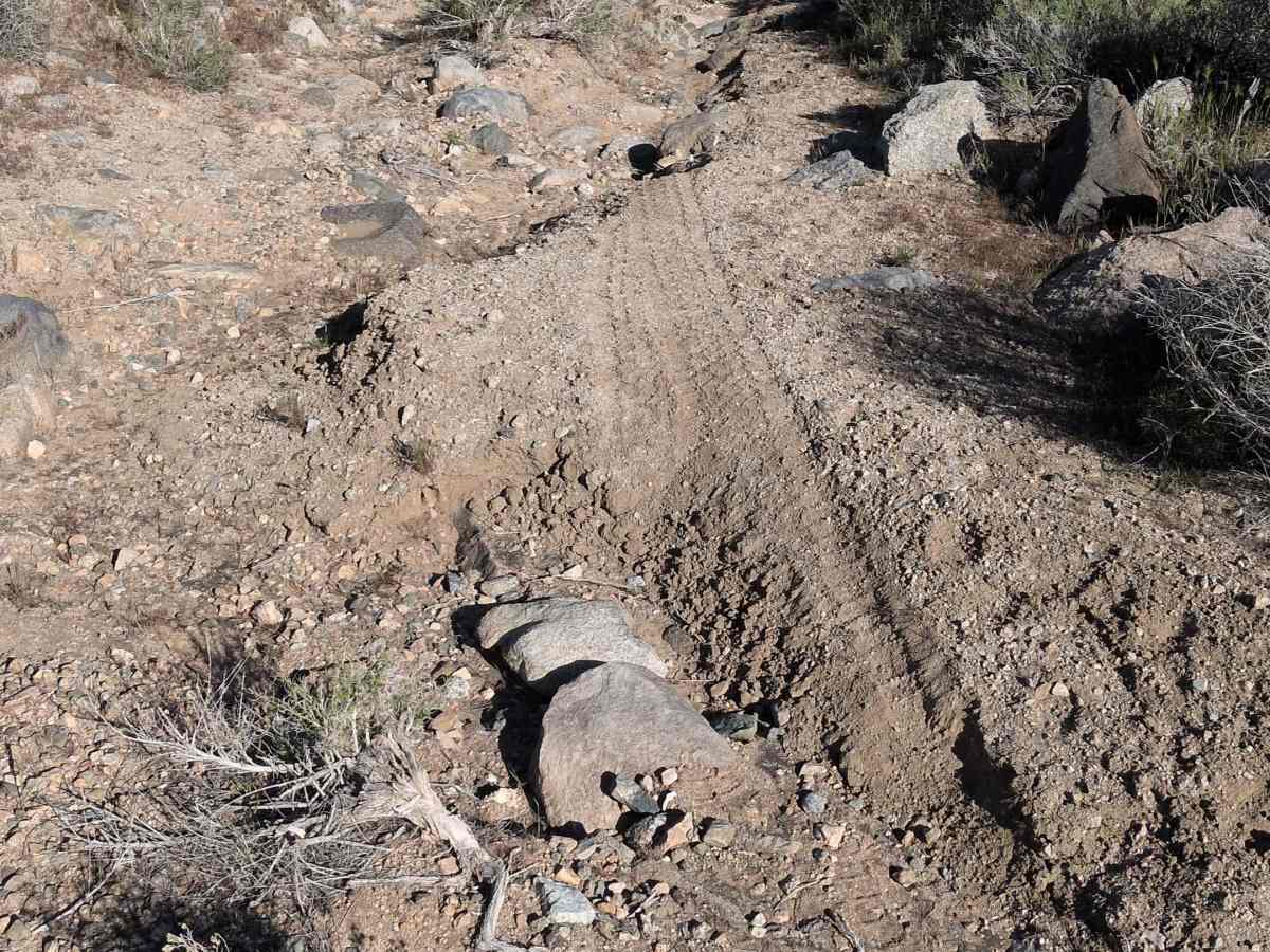 BLM 37E402 photo 2