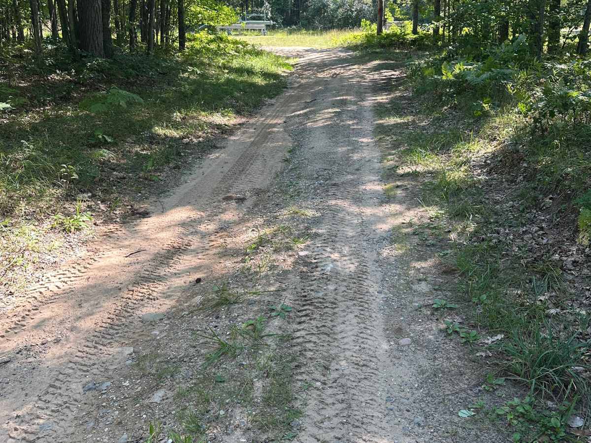 Bear Loop photo 5