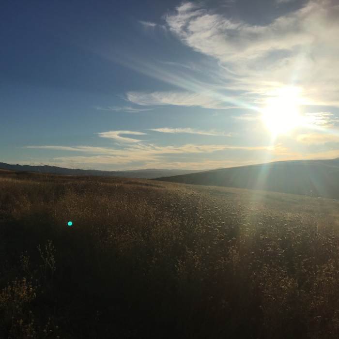 Near Ohlone-Crystyl Ranch Loop