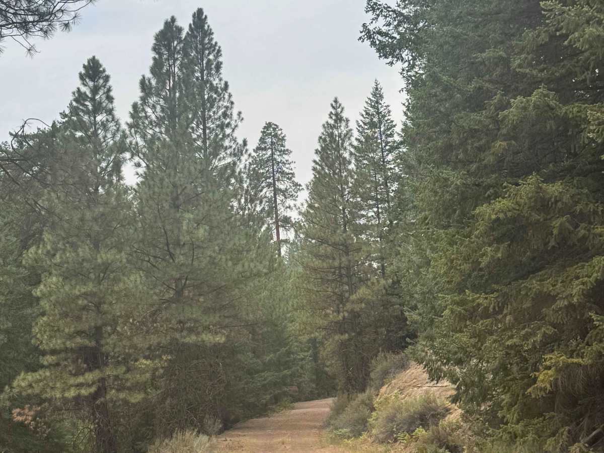 FS 1100-600 trail photo
