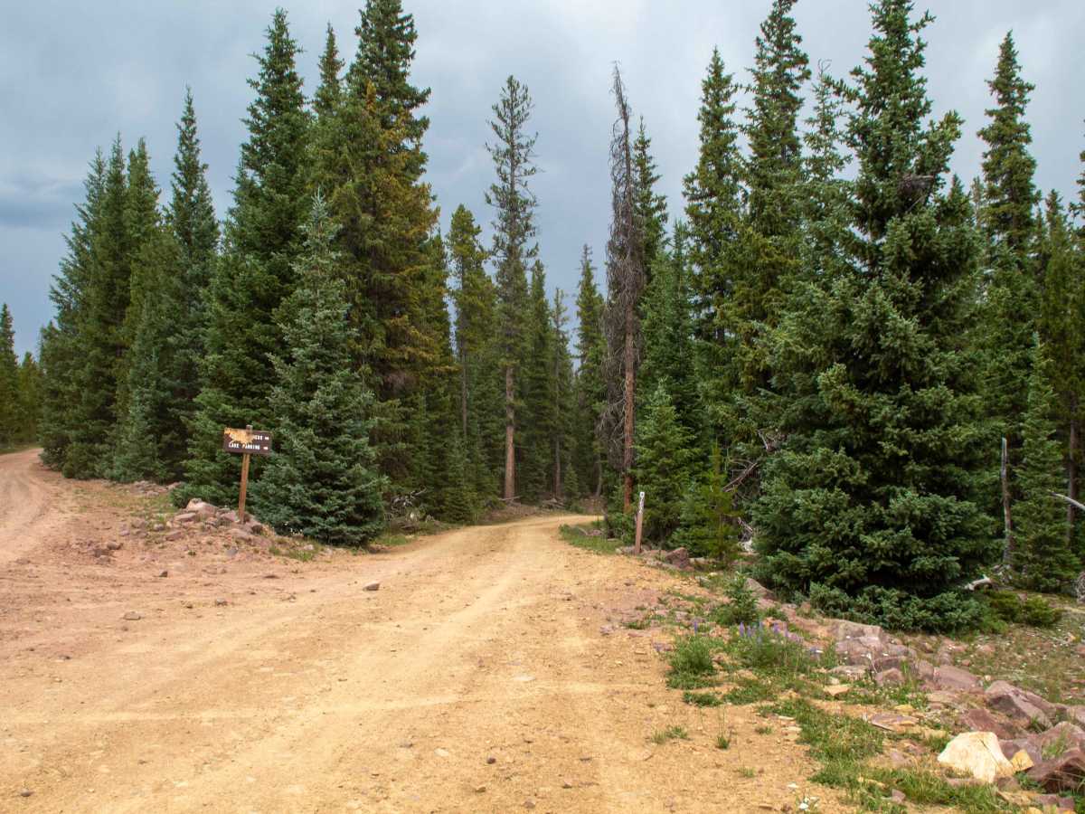 Paradise Park Reservoir Access - FS 10752 photo 2