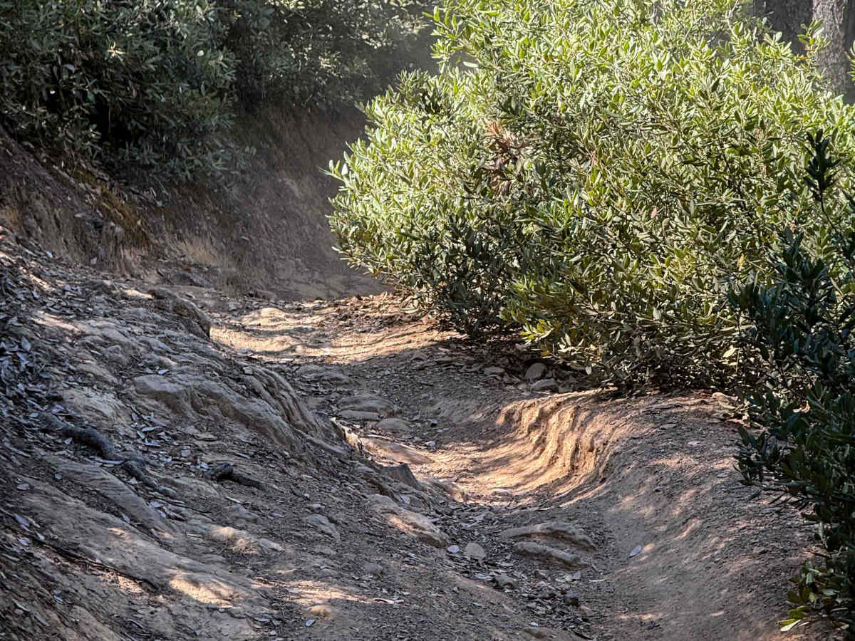 Trail 3-1 ATV (11E16)  photo 2