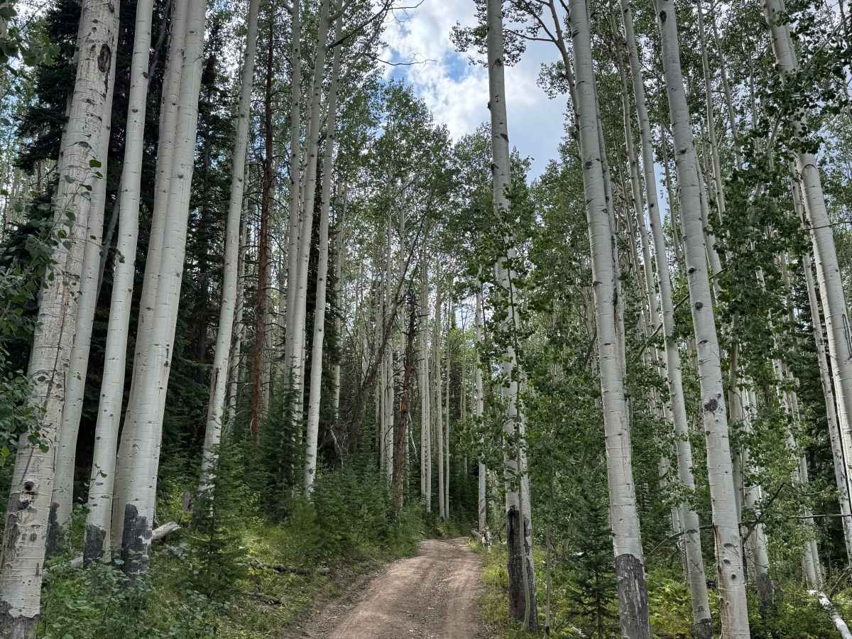 Long Draw Road photo 4