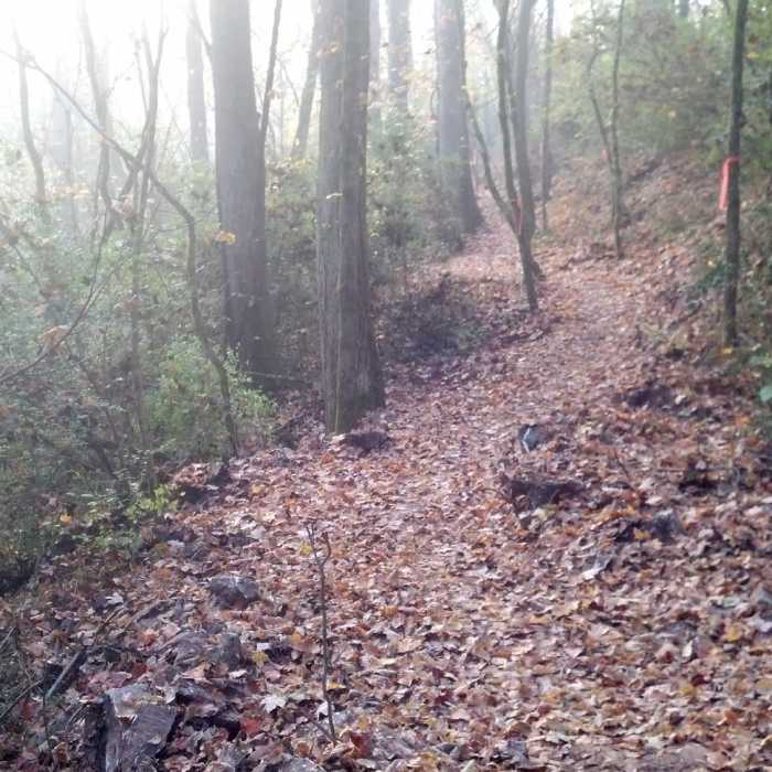Near Keyhole Trail