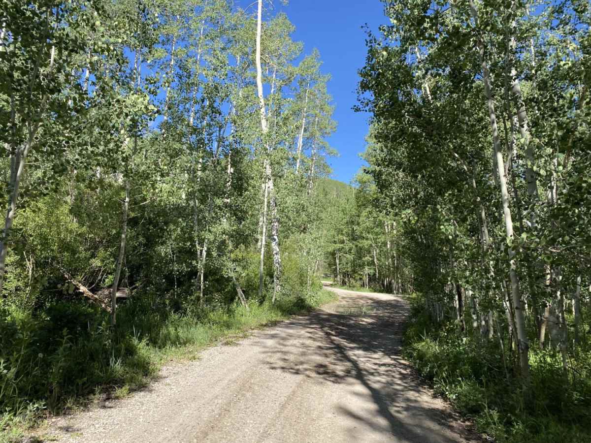 Farnsworth Lake Road trail photo