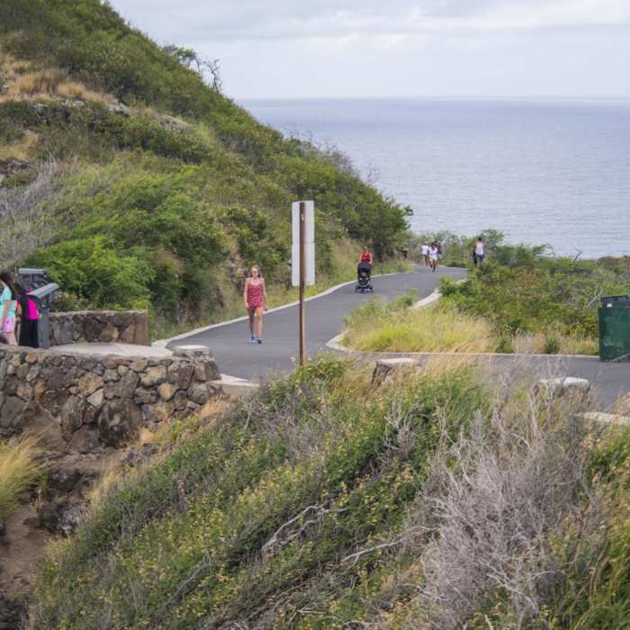 Near Makapu'u Point + Lighthouse Hike