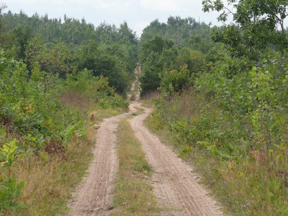 North Twin Tomahawk Trail trail photo