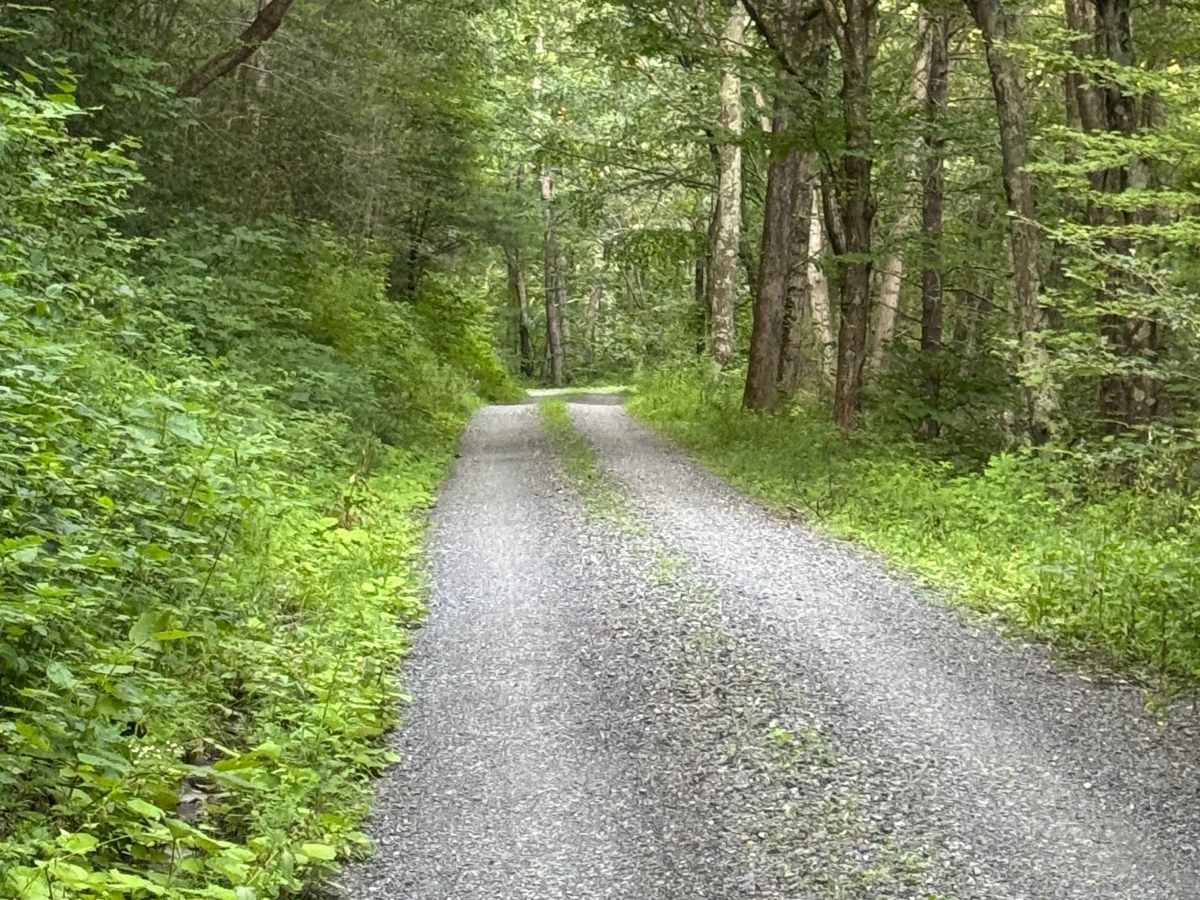Fisher Mine Road photo 4