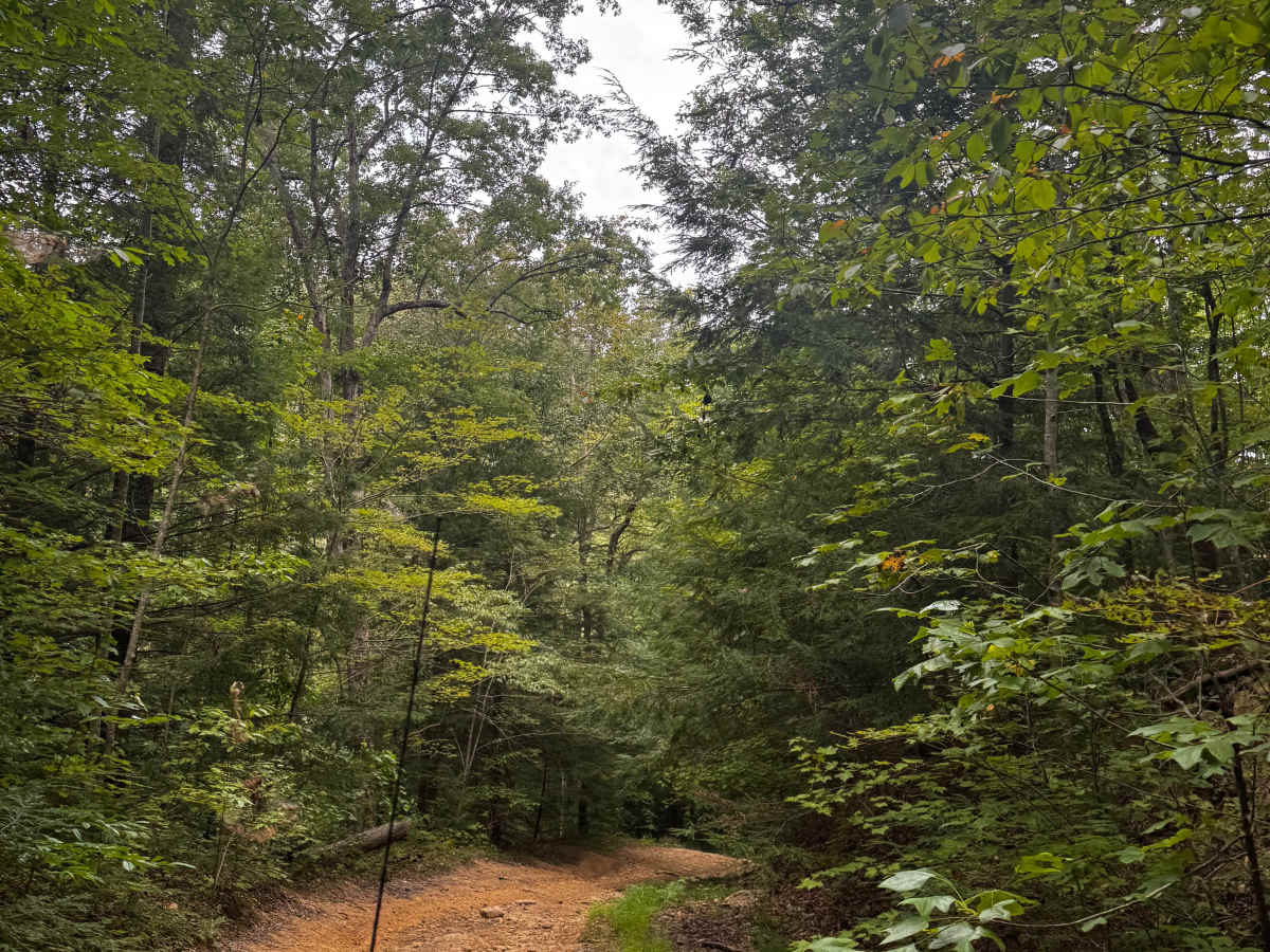 JC Trail 2 photo 5