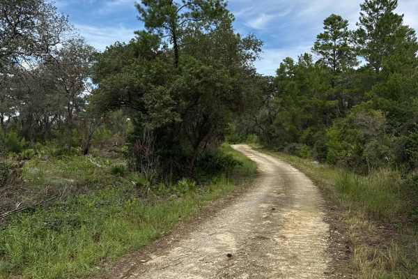 Scrub Road