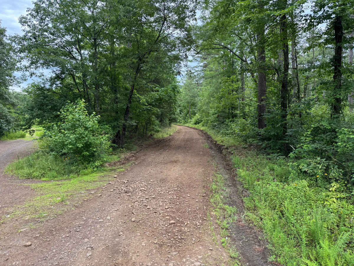 Kunze trail photo