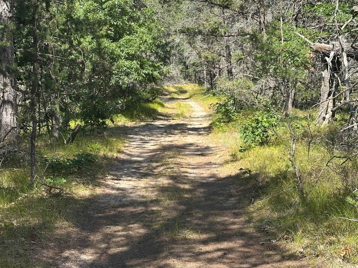 Pierce Road photo 2