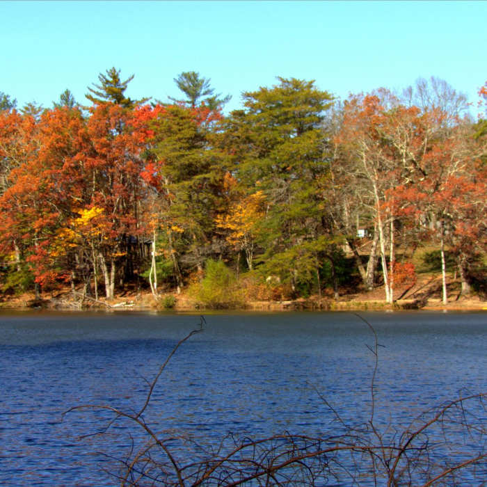 Near Fort Mountain Lake Trail Near Fort Mountain Lake Trail