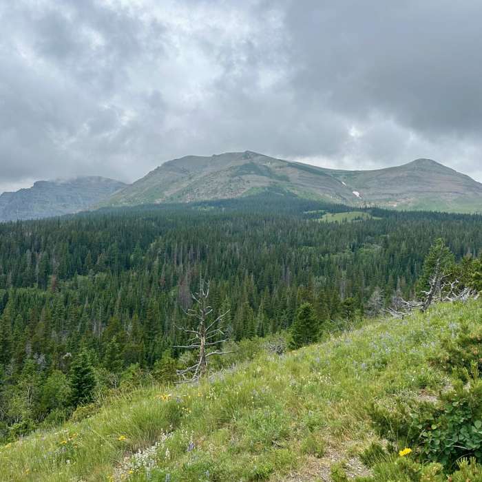 Near Continental Divide Trail: Montana-Idaho Section 27