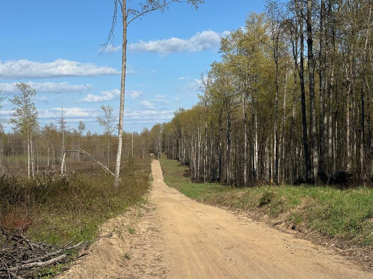 Papoose Lake Road photo 2