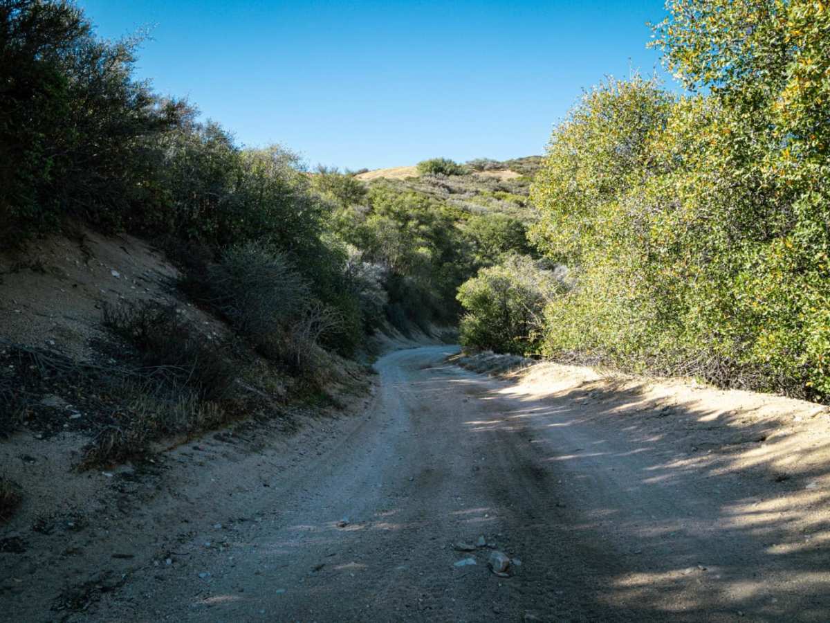 Lake Hughes/Grass Mountain Connector Trail photo 3