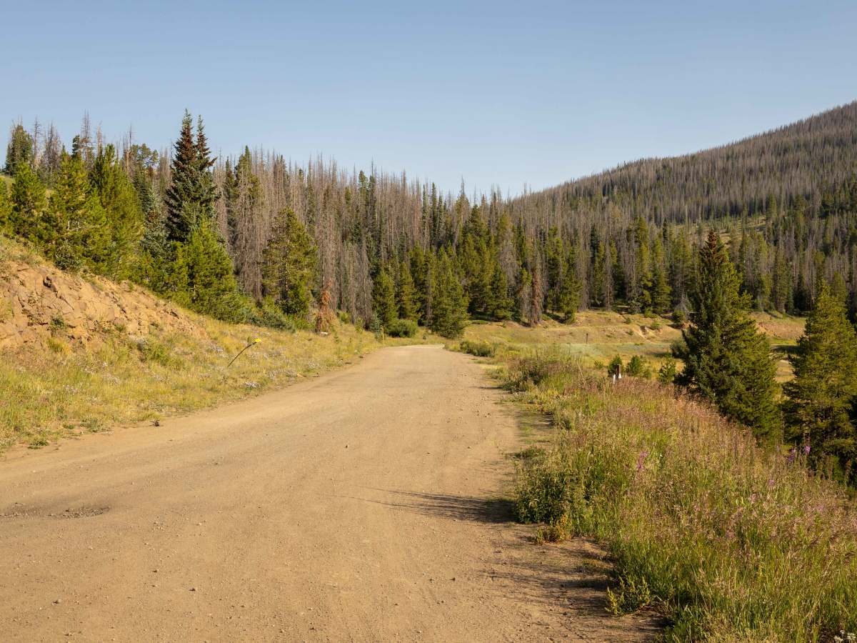 Marshall Pass (East) trail photo