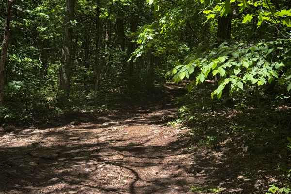 West Inner Cut