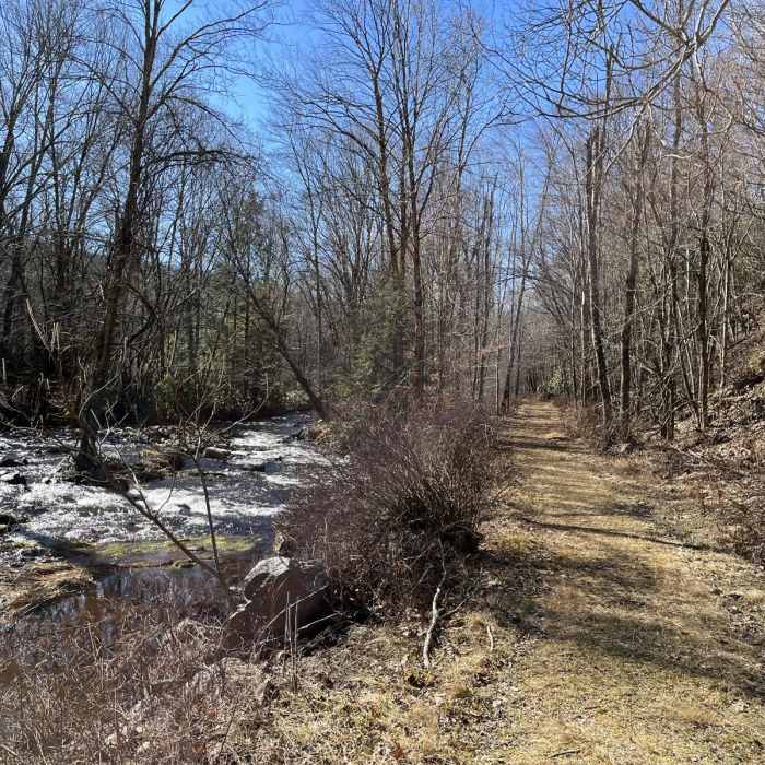 Near Hickory Run - Fireline - Skyline Loop