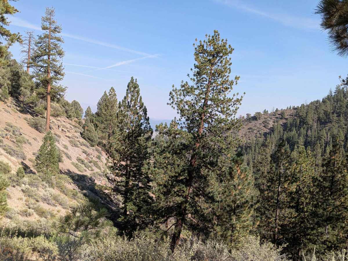 By Day Creek - FS 32076 photo 6