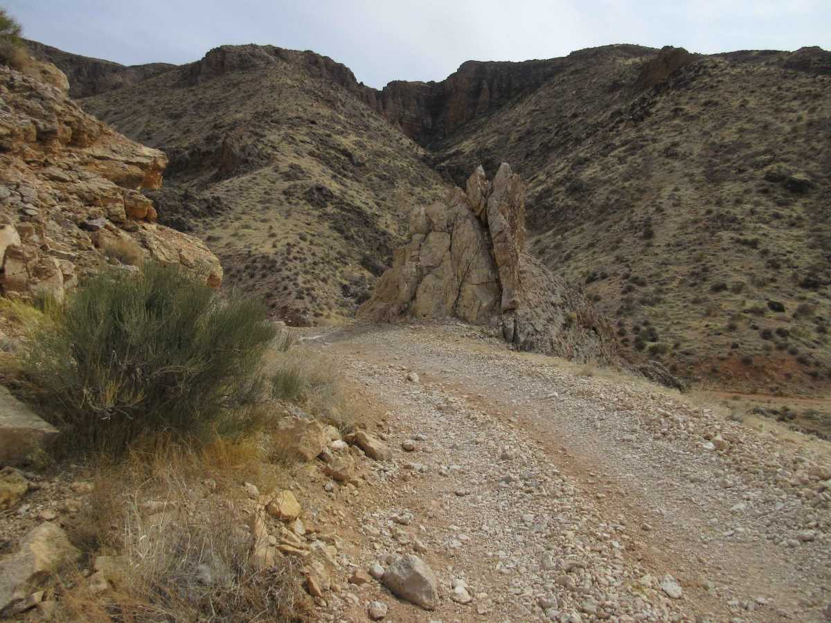 Antelope/Honeymoon Trail (North) trail photo