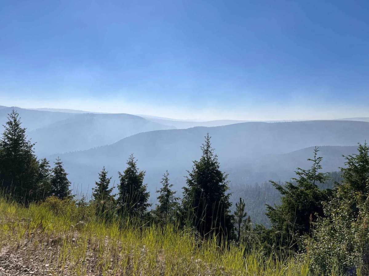 Porcupine Saddle trail photo