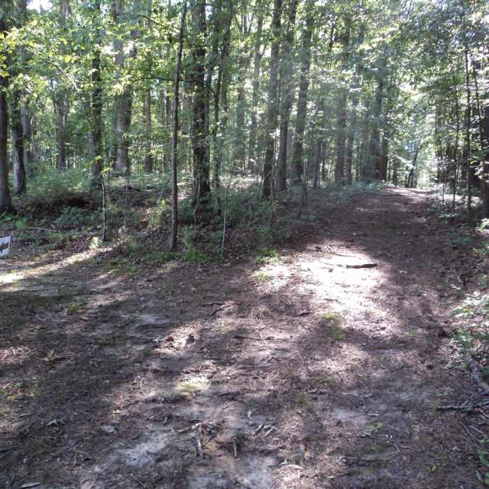 Near Horseshoe Trail