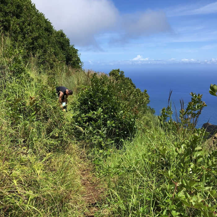 Near Nu'alolo Cliff Trail