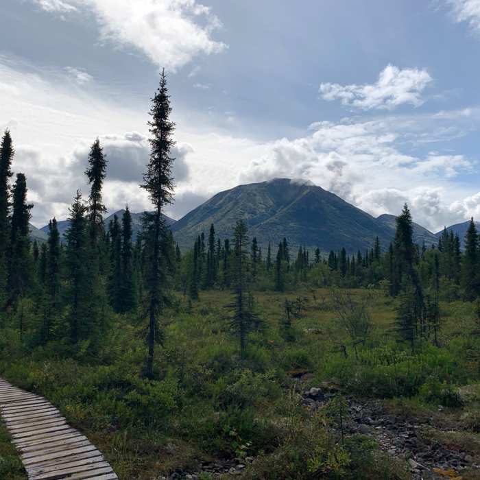 One of the many vistas from the trail to Tanalian Falls in Lake Clark National Park. Near Beaver Pond Loop