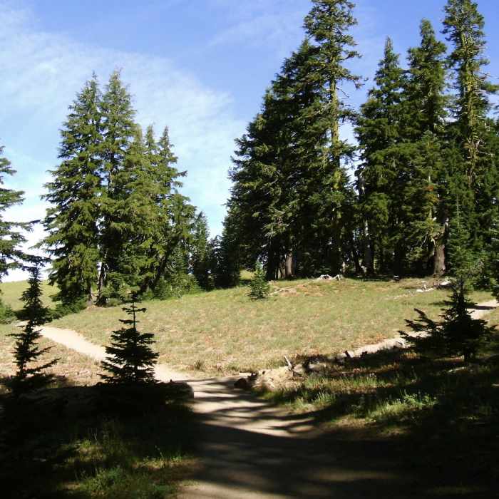 The trail to Sun Notch. Near Sun Notch Trail