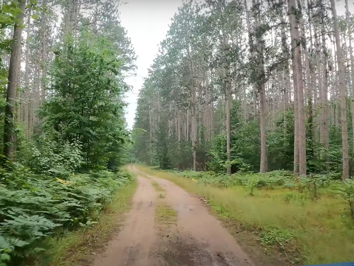 USFS 5401 photo 4
