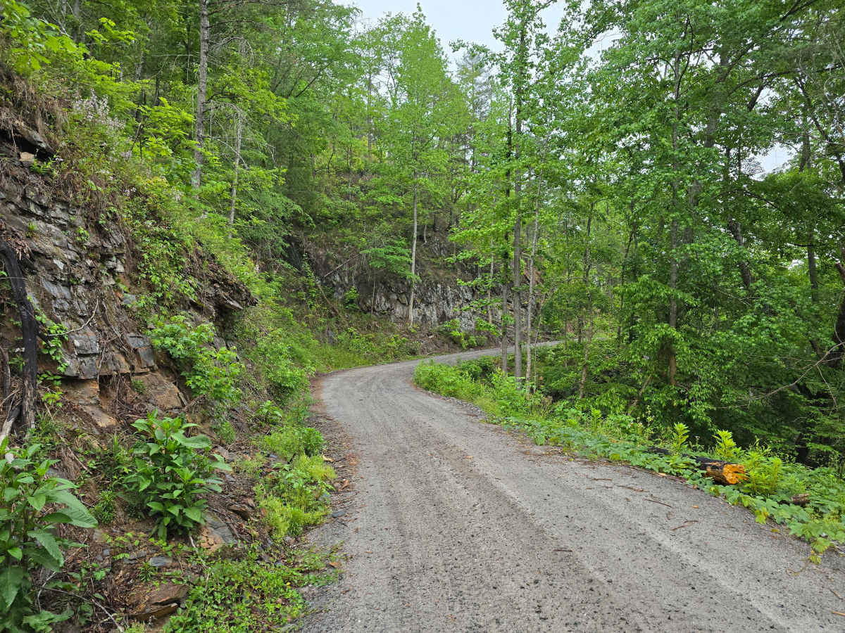 Old Highway Road - FS 311 photo 6